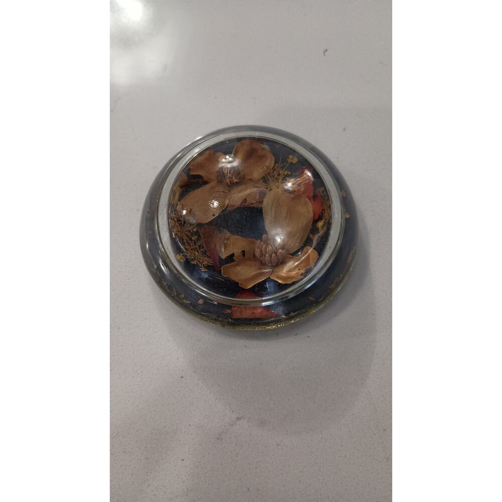 $Vintage Lucite Dried flower paperweight Eclectic, Boho, Hippie Earthy